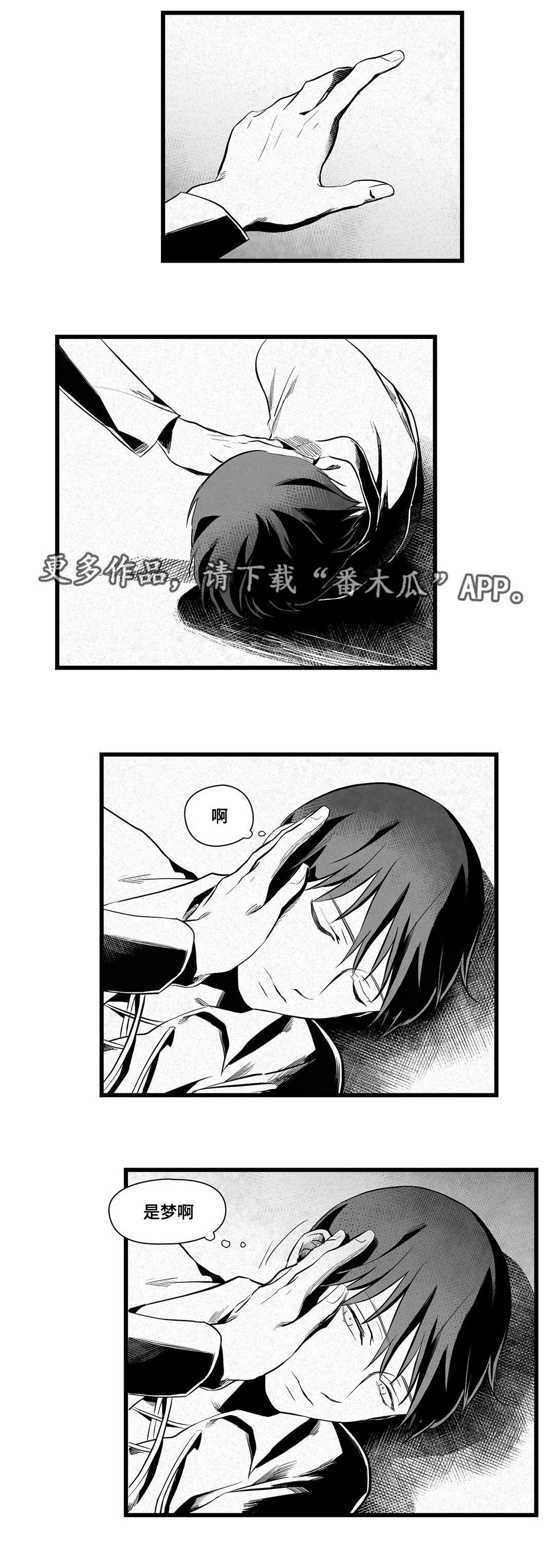 《巫师与王子》第36章隐瞒着什么 第8页
