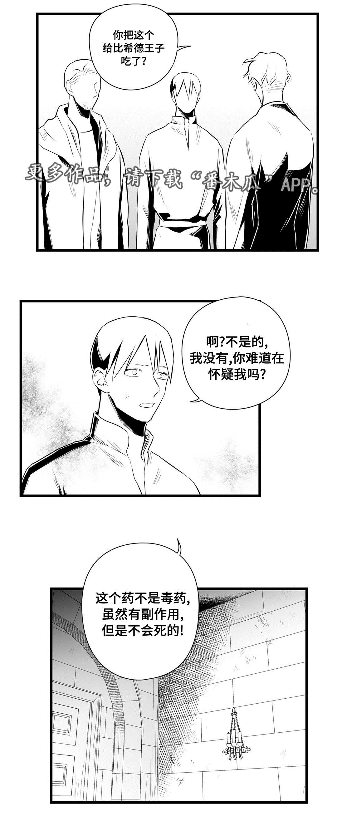 《巫师与王子》第34章下毒 第13页