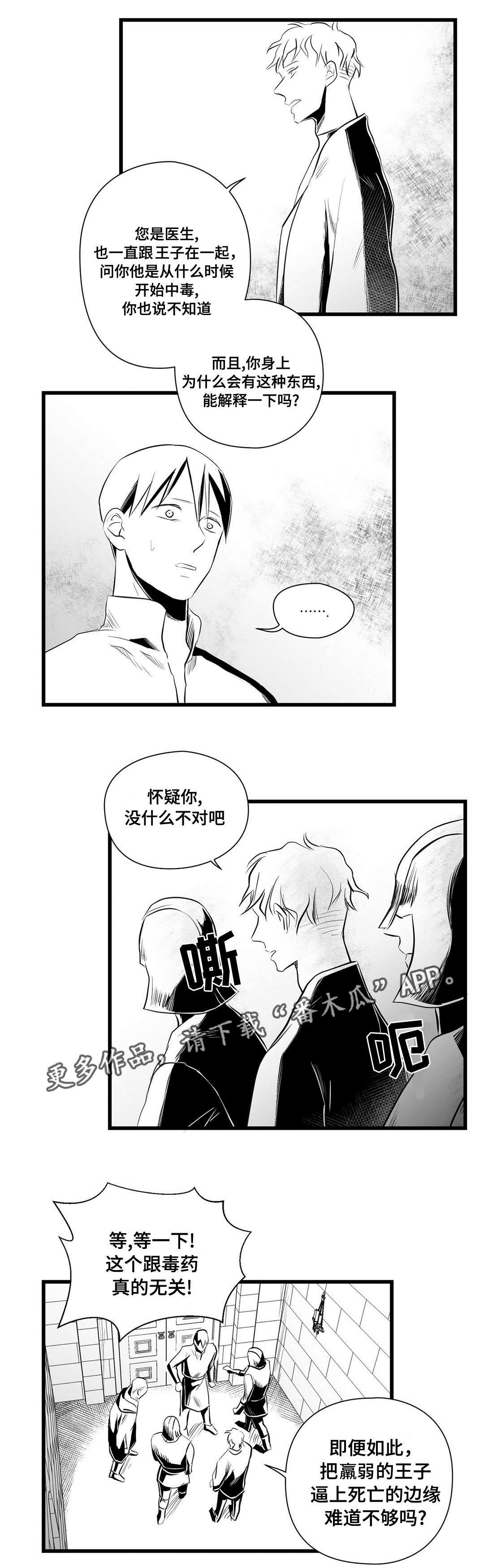 《巫师与王子》第34章下毒 第14页