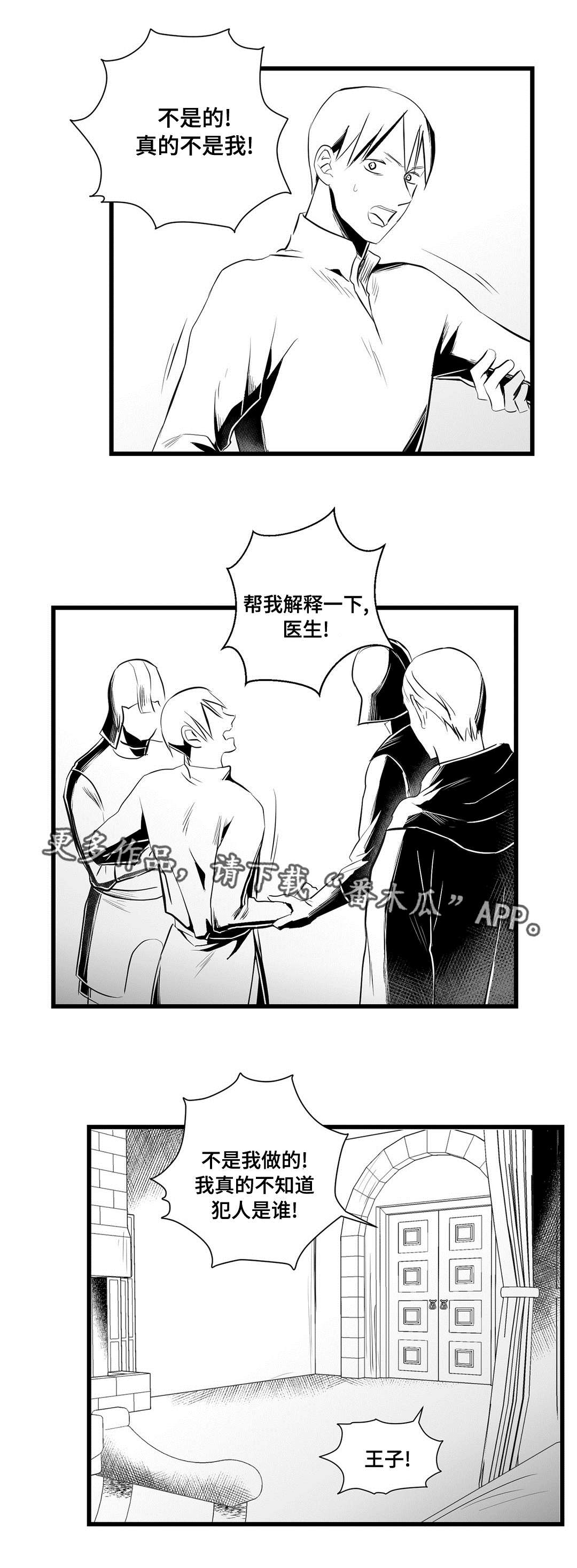 《巫师与王子》第34章下毒 第15页