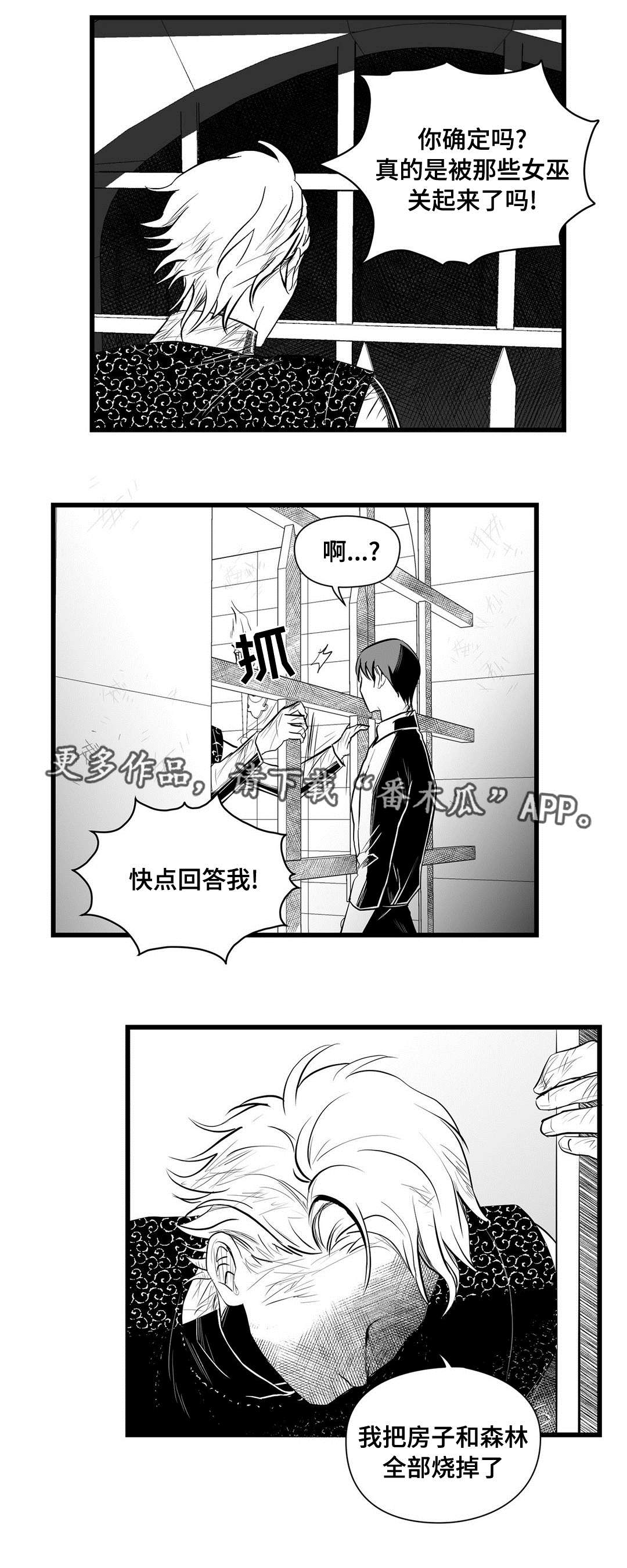 《巫师与王子》第34章下毒 第2页