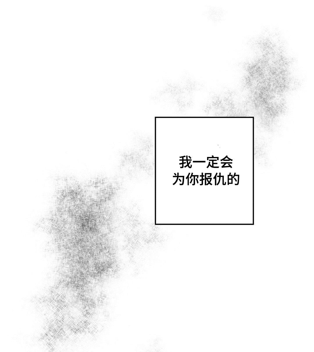 《巫师与王子》第34章下毒 第9页