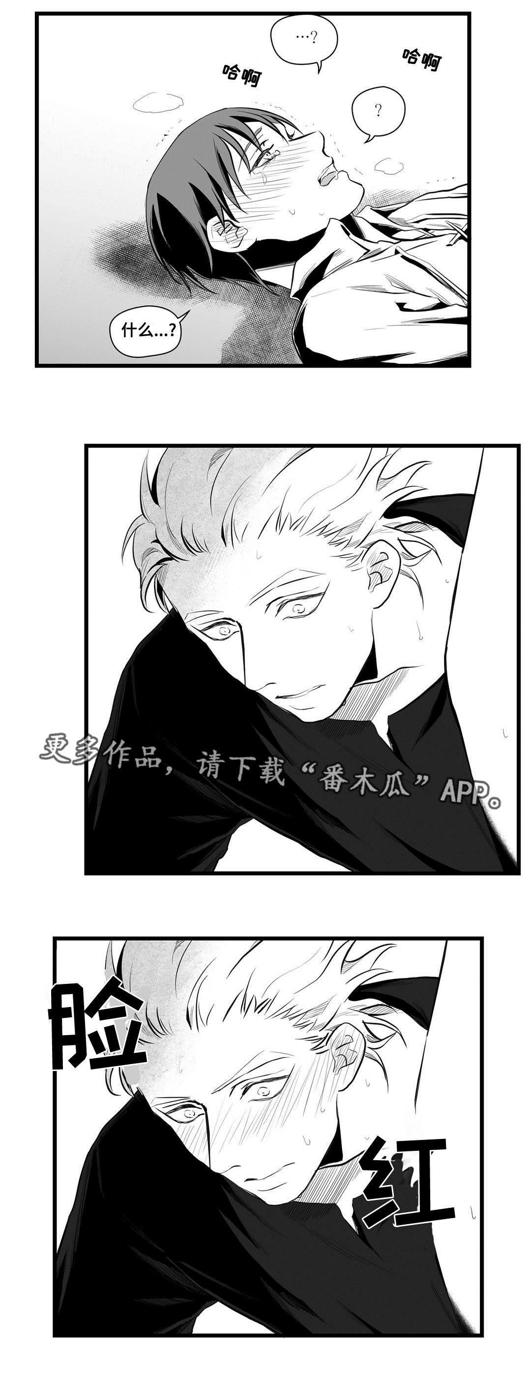 《巫师与王子》第39章喜欢你 第10页