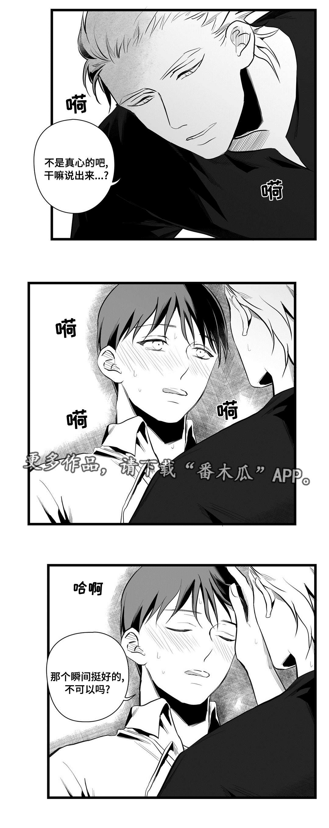 《巫师与王子》第39章喜欢你 第13页