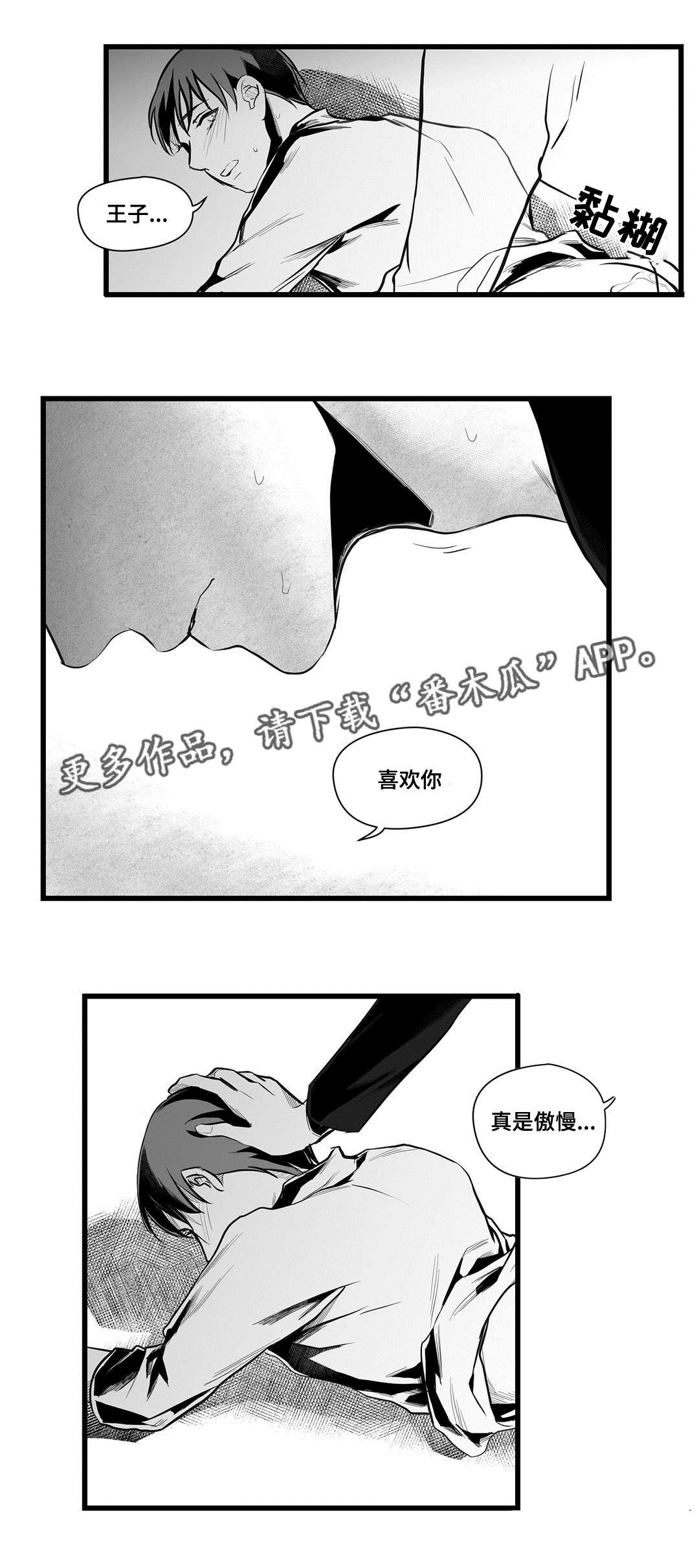 《巫师与王子》第39章喜欢你 第15页