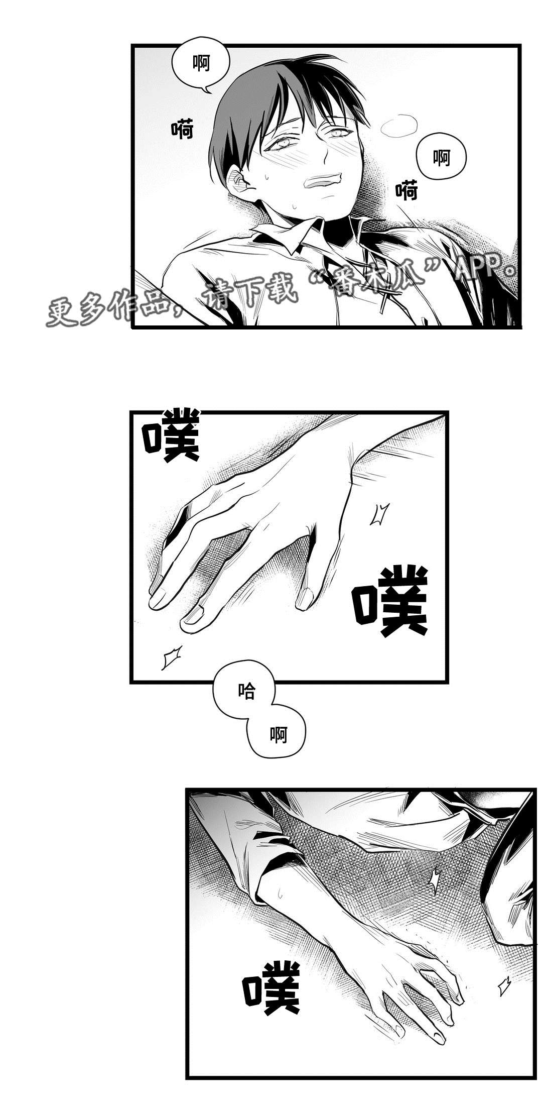 《巫师与王子》第39章喜欢你 第1页