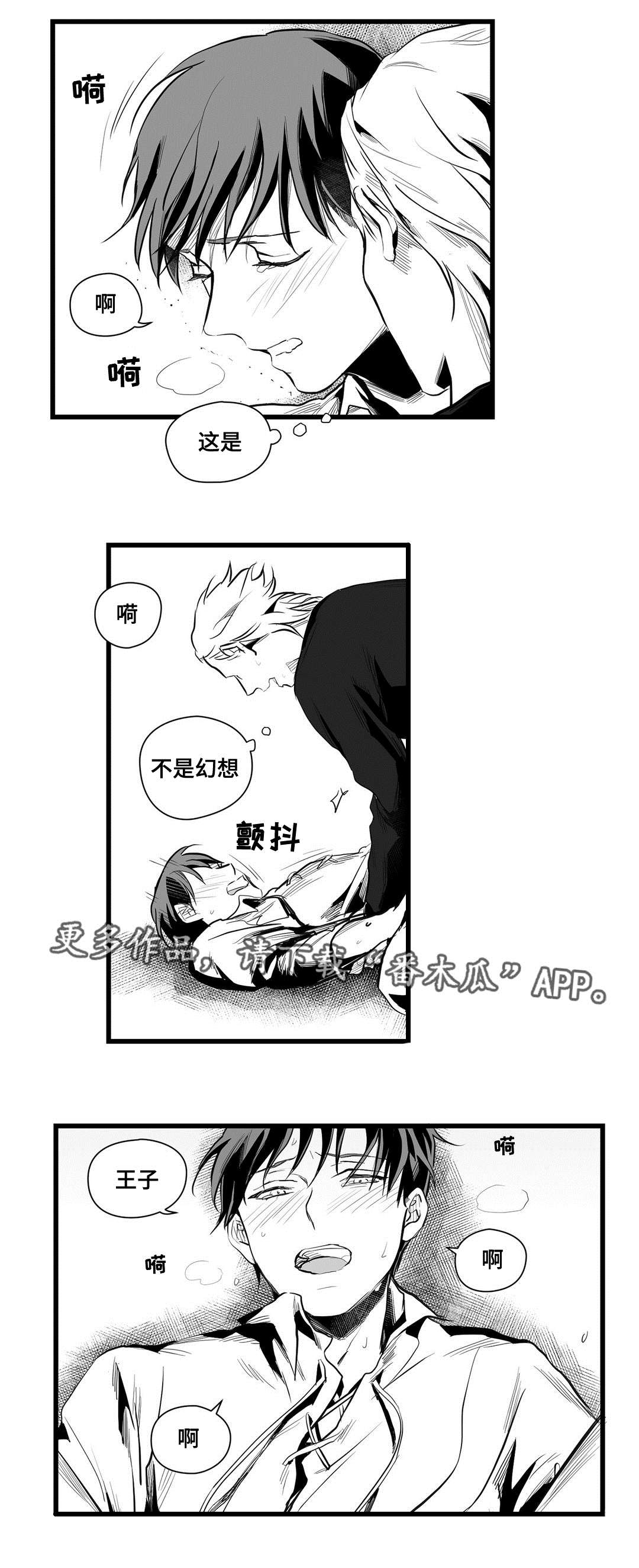 《巫师与王子》第39章喜欢你 第2页