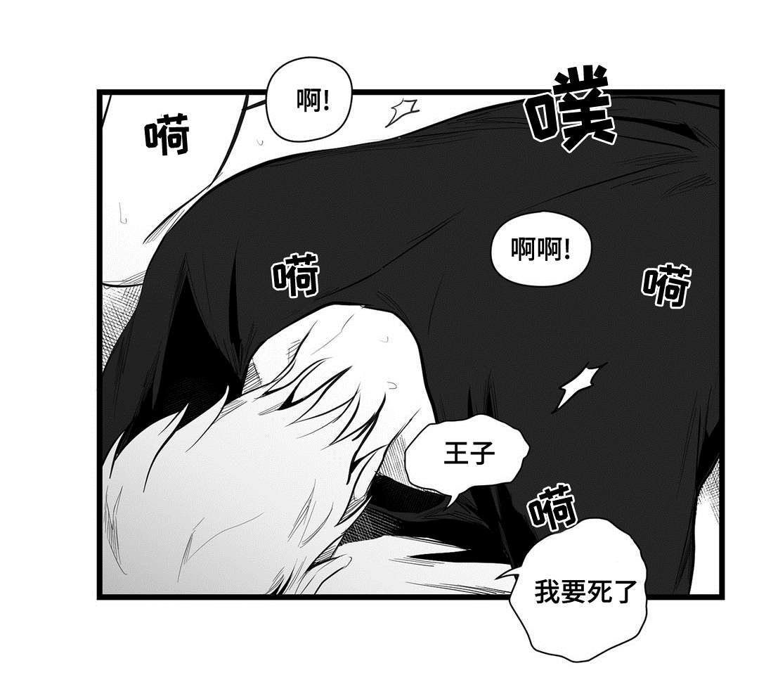 《巫师与王子》第39章喜欢你 第6页