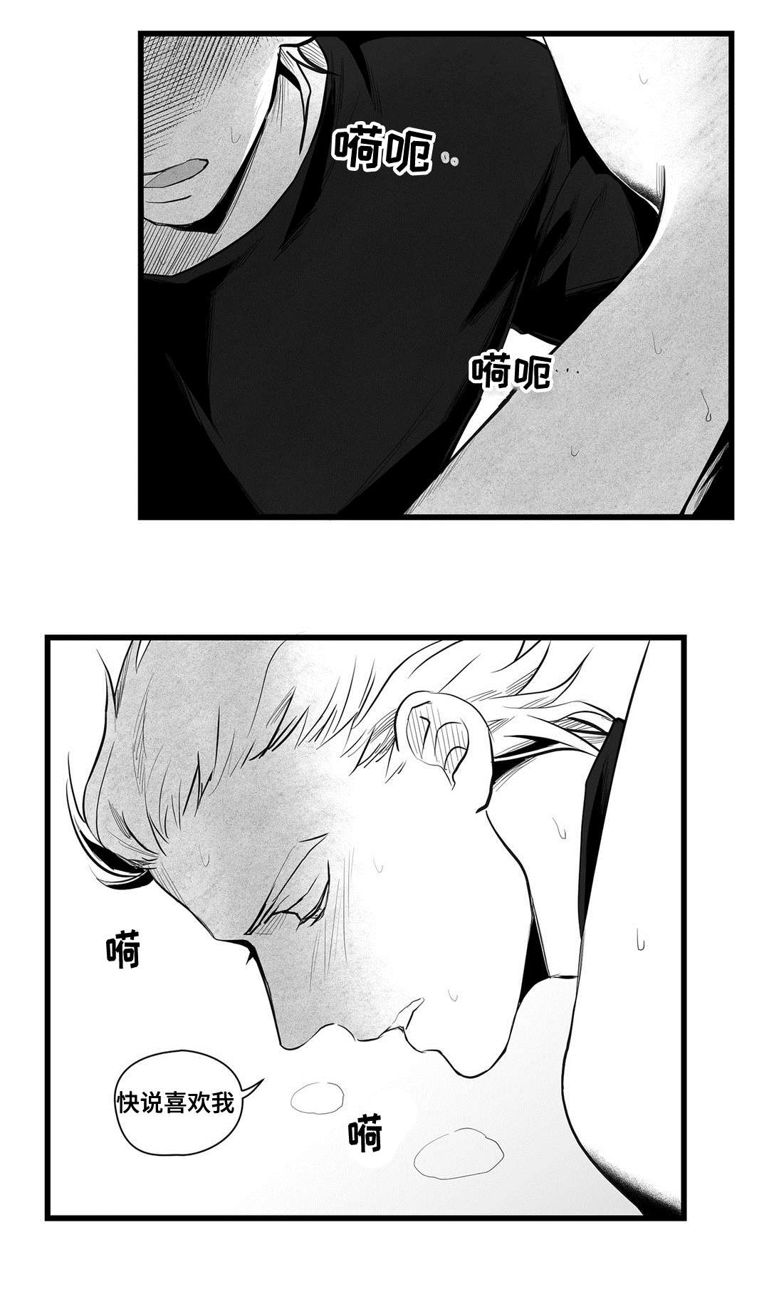 《巫师与王子》第39章喜欢你 第9页