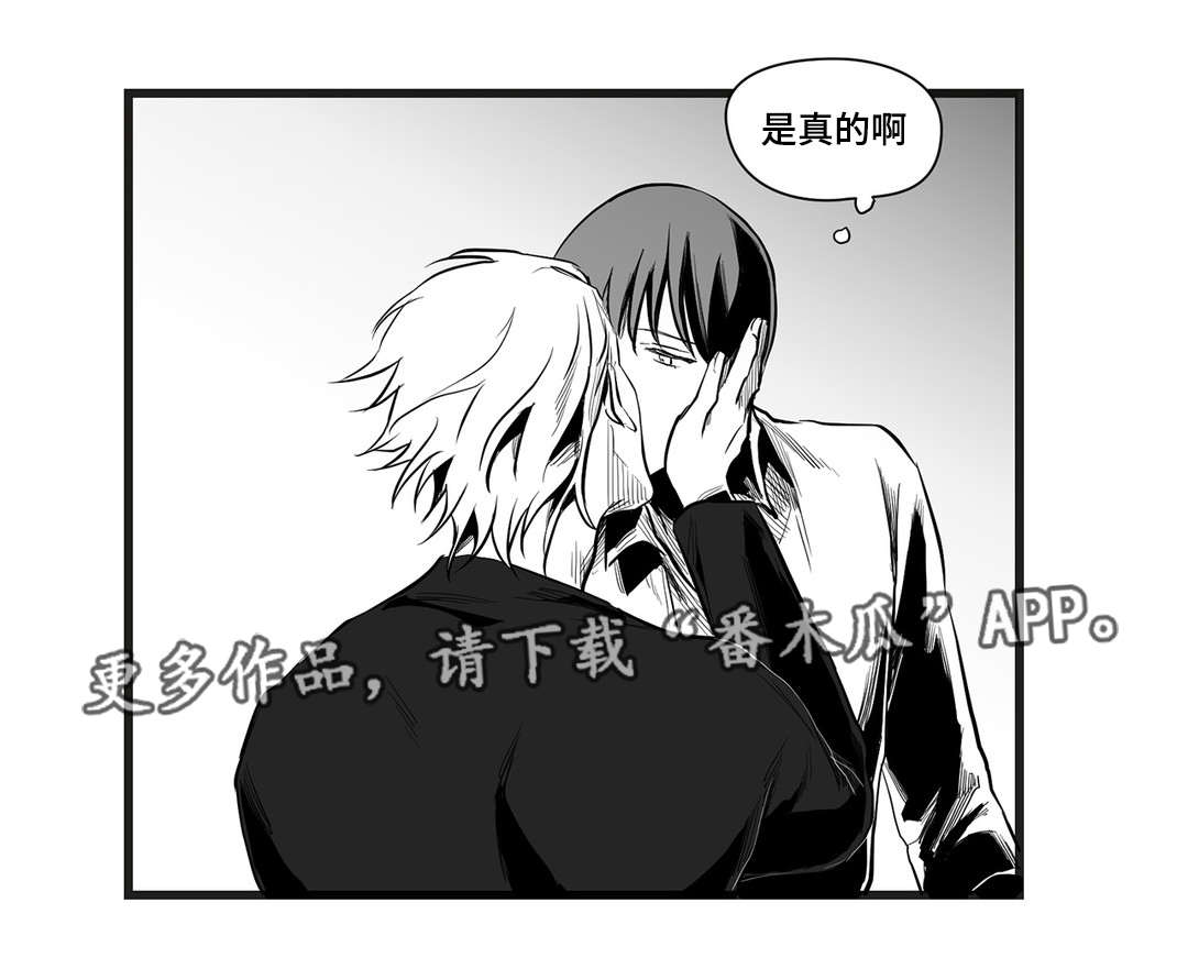 《巫师与王子》第38章代替 第13页
