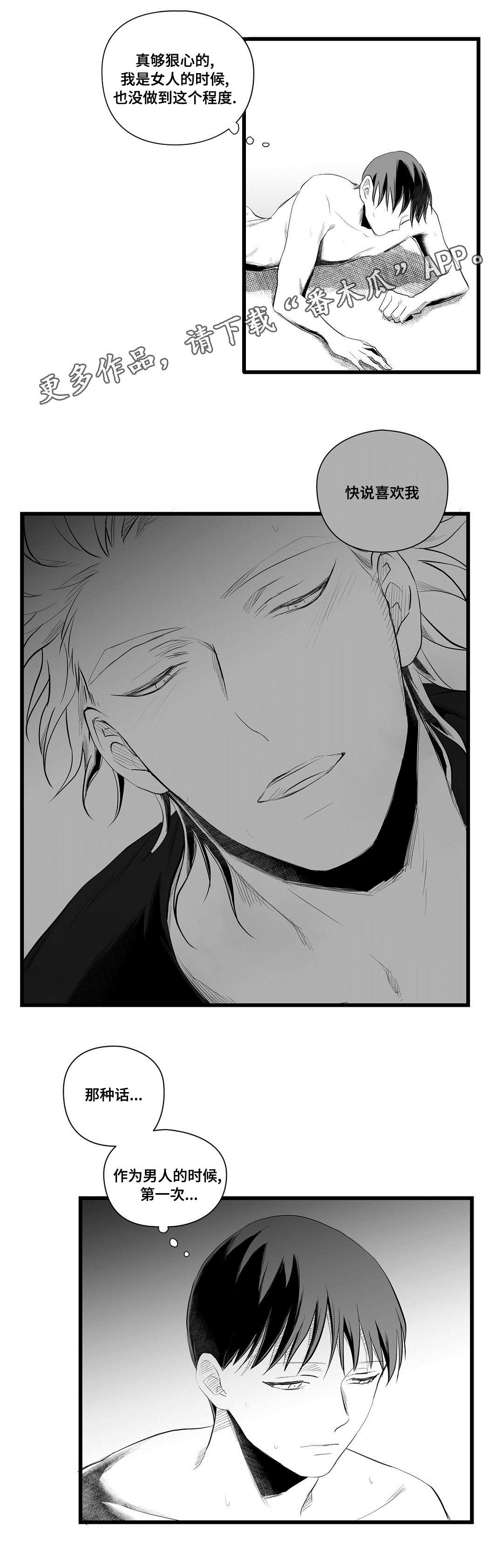 《巫师与王子》第41章何去何从 第12页