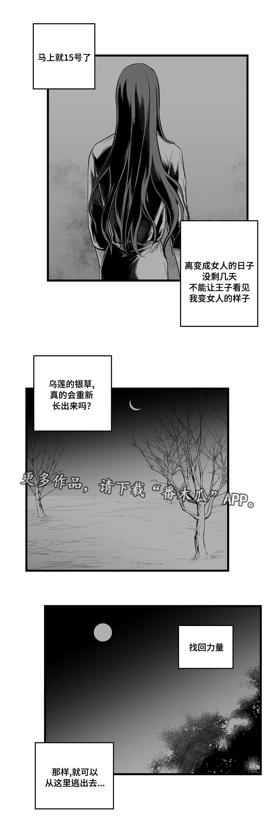 《巫师与王子》第41章何去何从 第14页