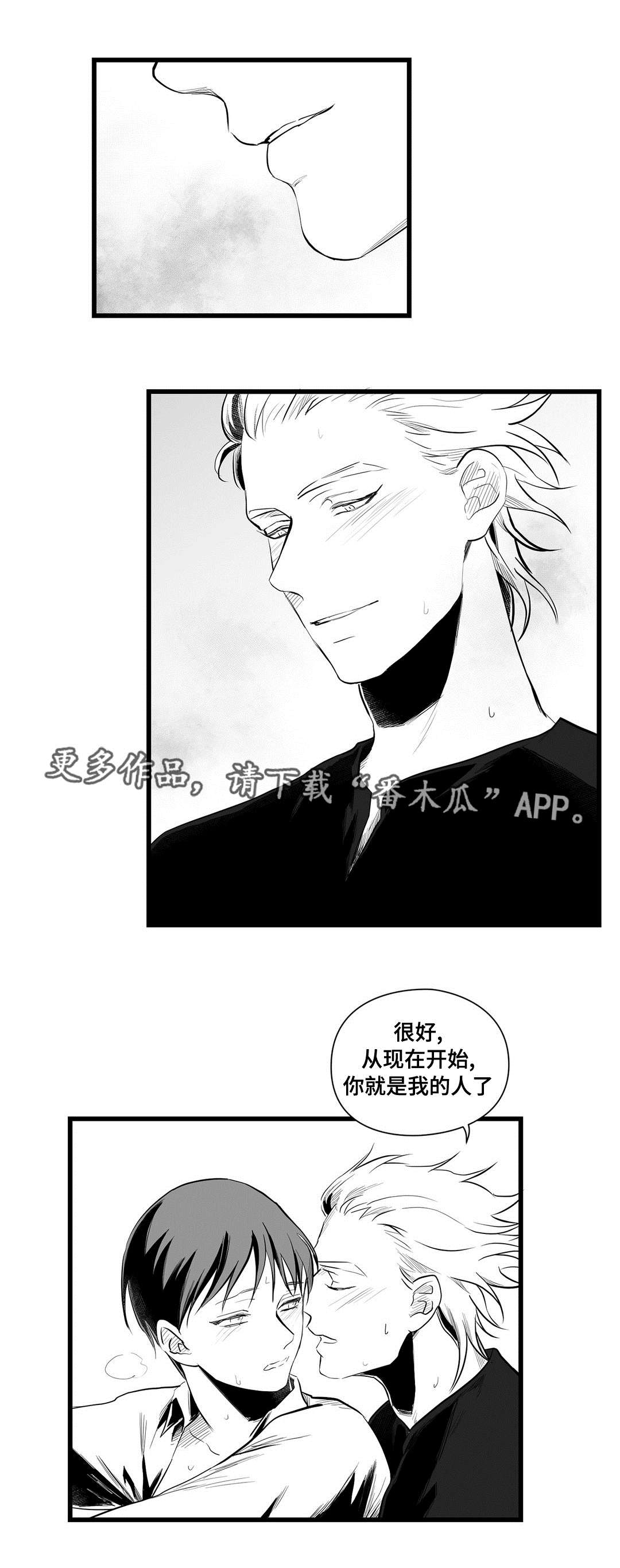 《巫师与王子》第41章何去何从 第1页
