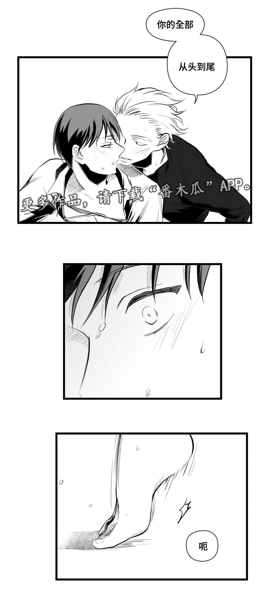 《巫师与王子》第41章何去何从 第2页