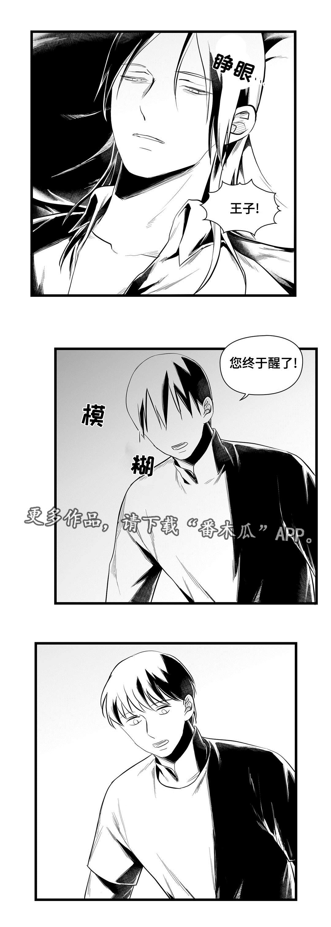 《巫师与王子》第41章何去何从 第4页
