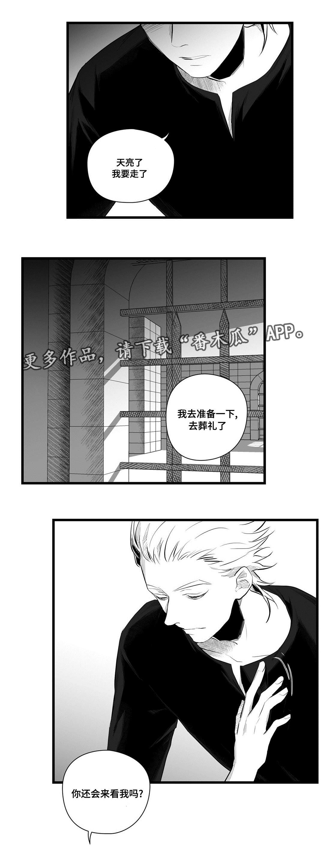 《巫师与王子》第41章何去何从 第8页