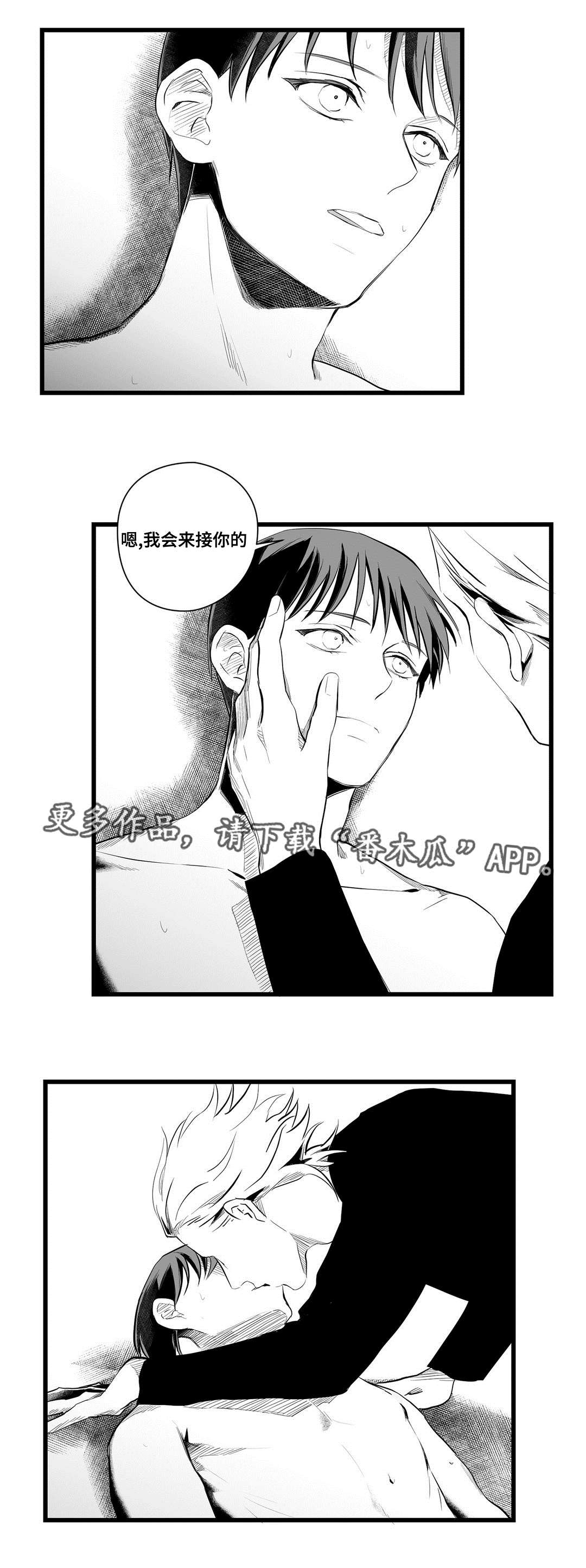 《巫师与王子》第41章何去何从 第9页