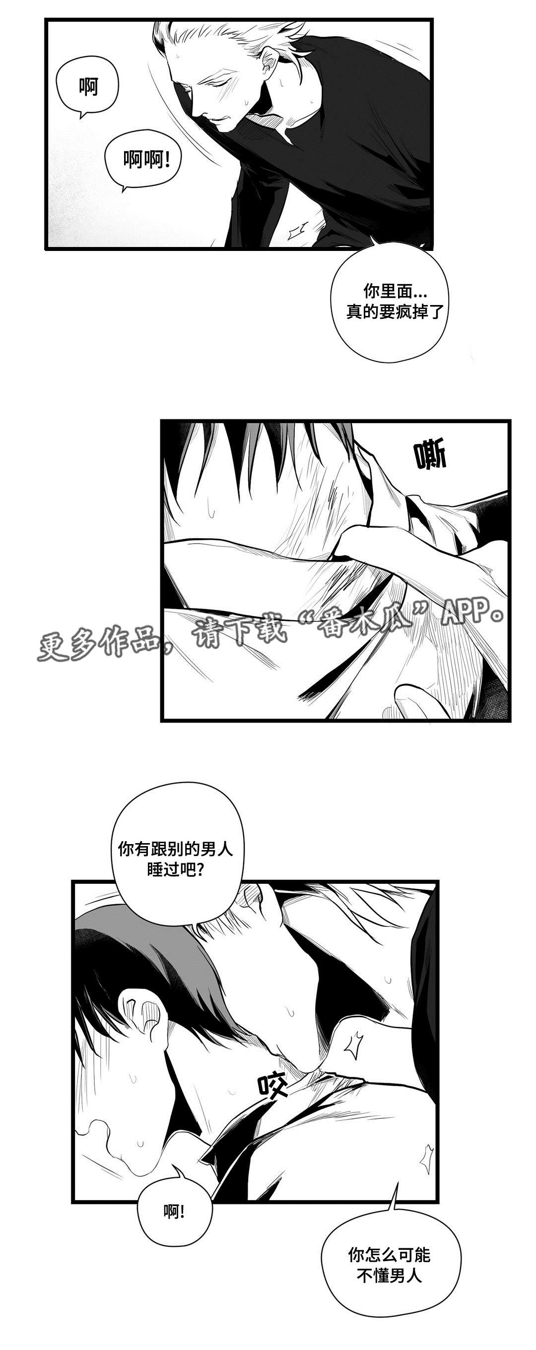 《巫师与王子》第40章在一起 第4页