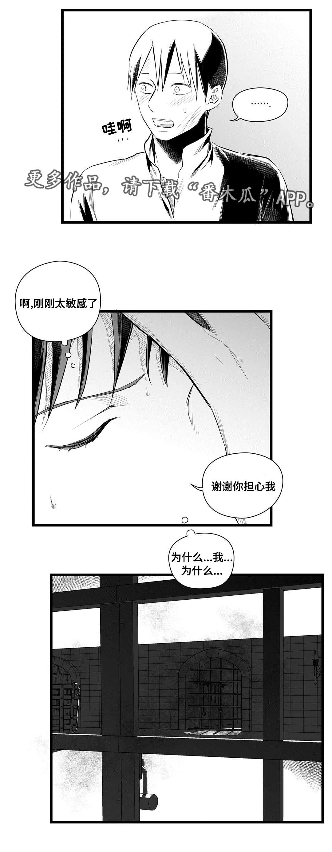 《巫师与王子》第42章葬礼 第11页
