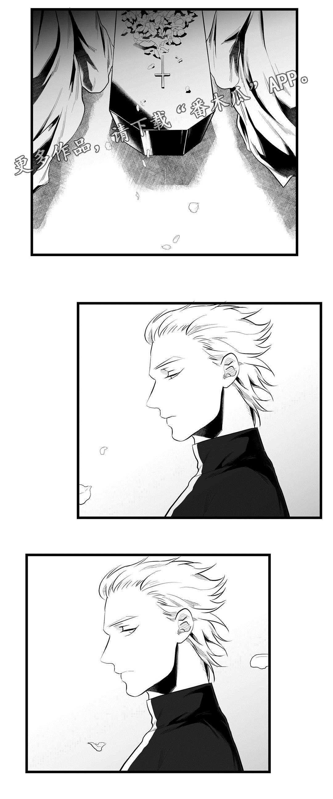 《巫师与王子》第42章葬礼 第2页