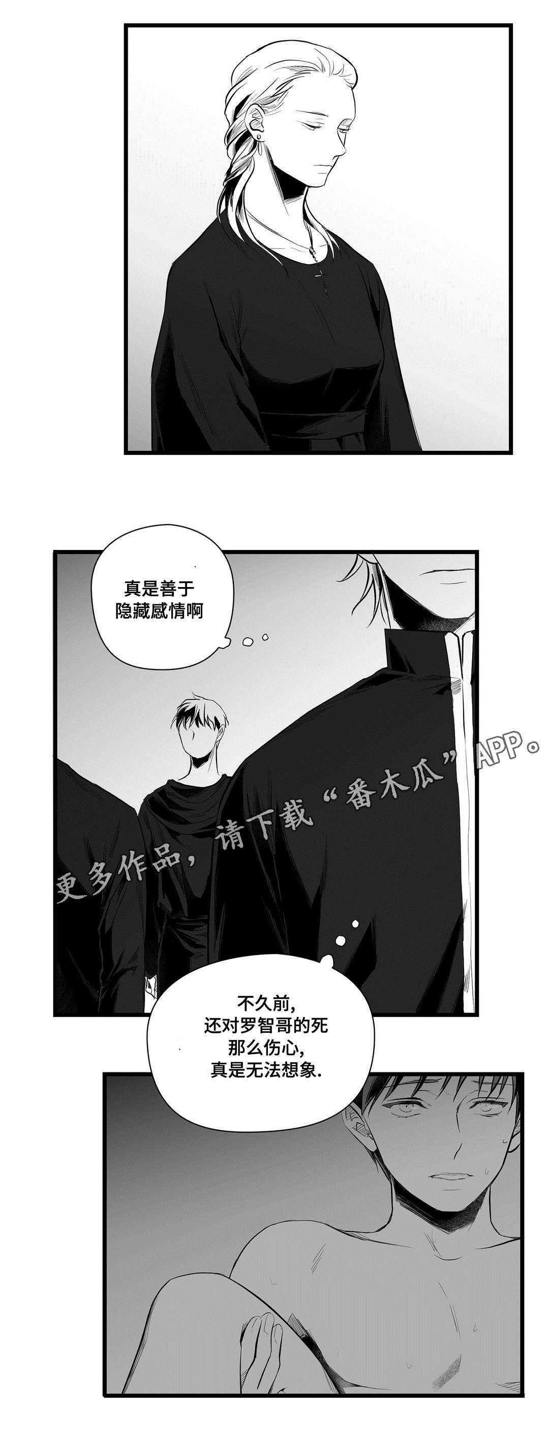 《巫师与王子》第42章葬礼 第3页