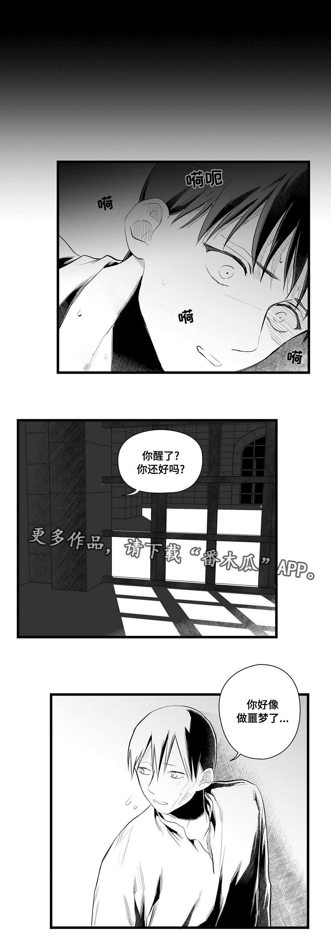 《巫师与王子》第42章葬礼 第9页