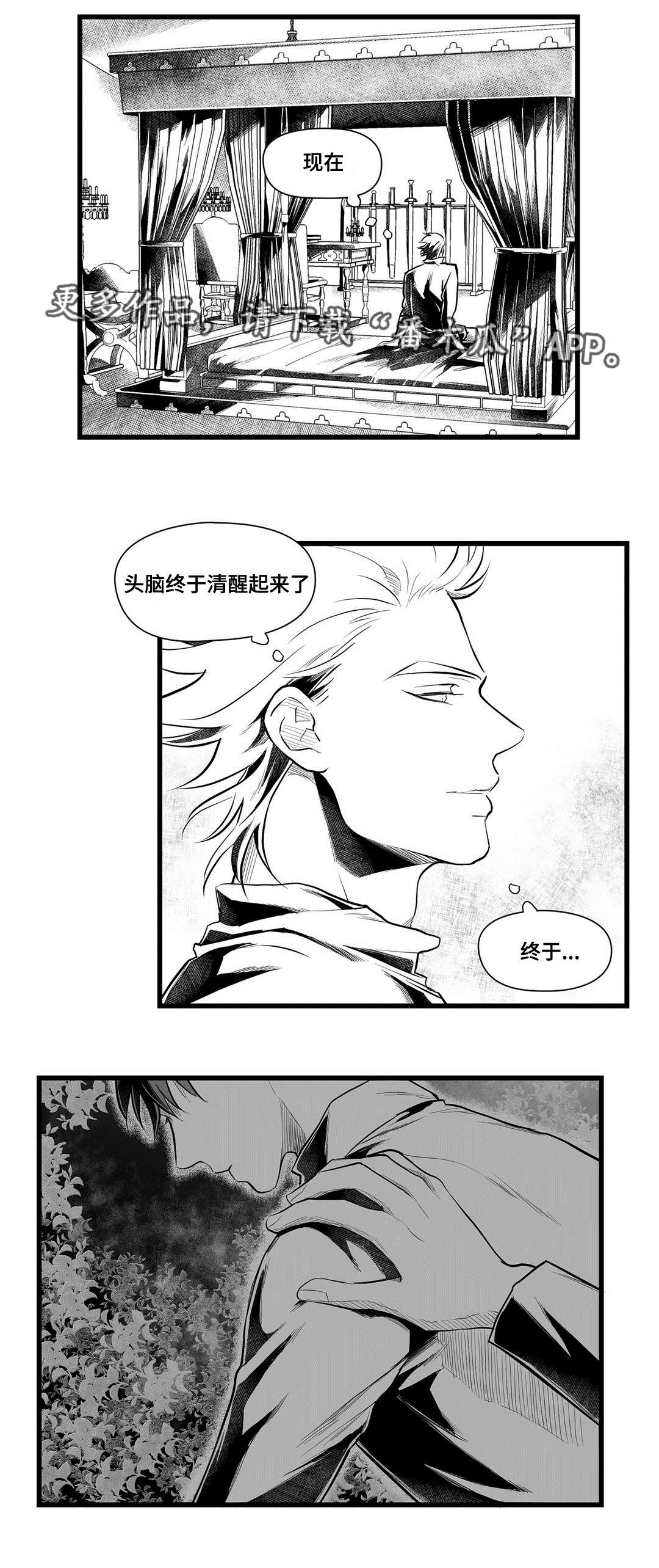 《巫师与王子》第45章准备 第10页