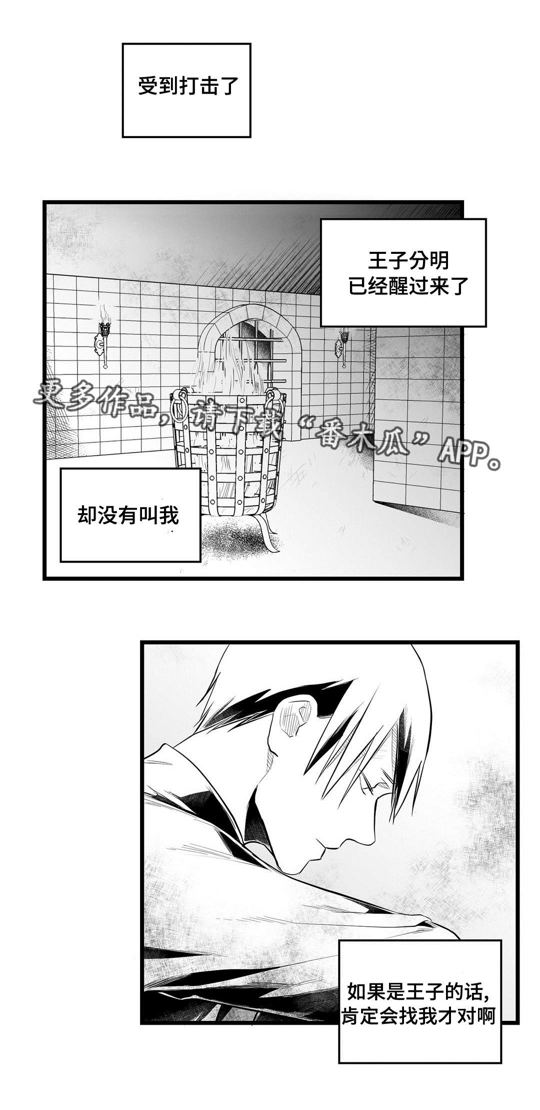《巫师与王子》第45章准备 第1页
