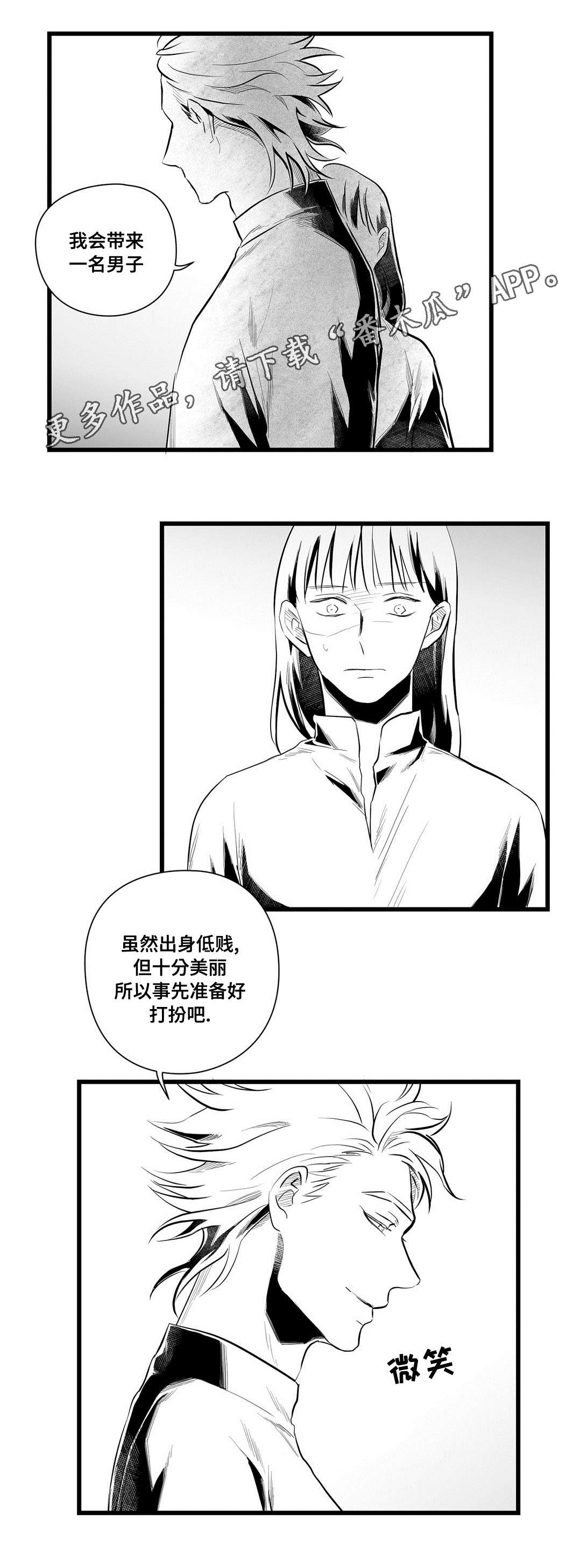 《巫师与王子》第43章醒了 第2页