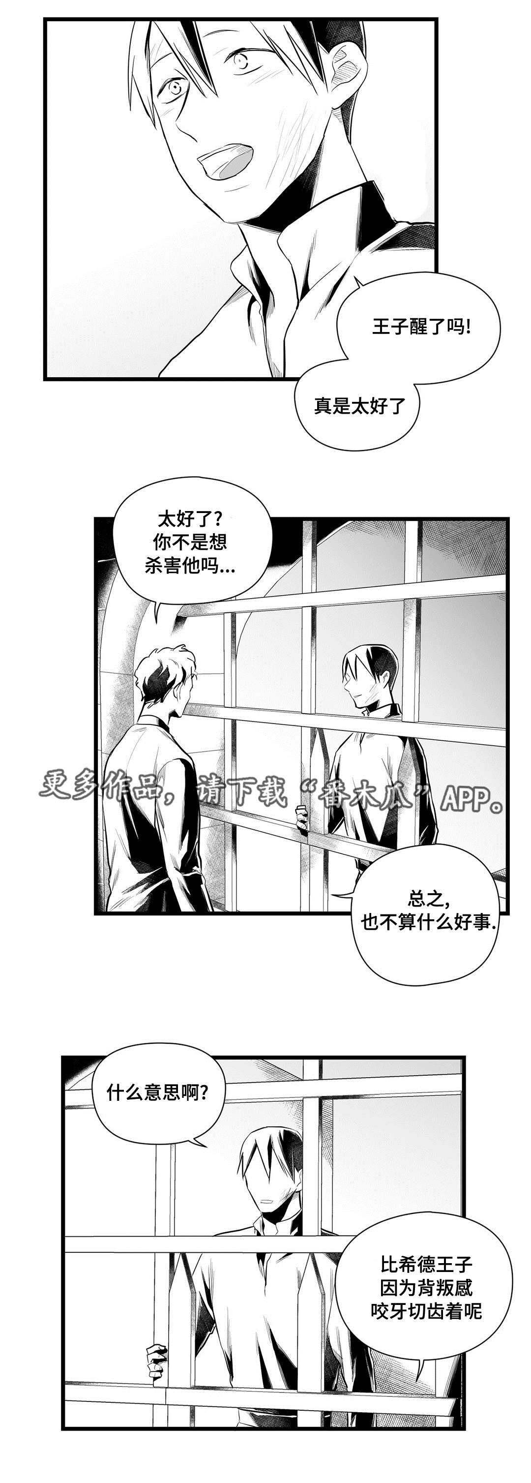 《巫师与王子》第43章醒了 第8页