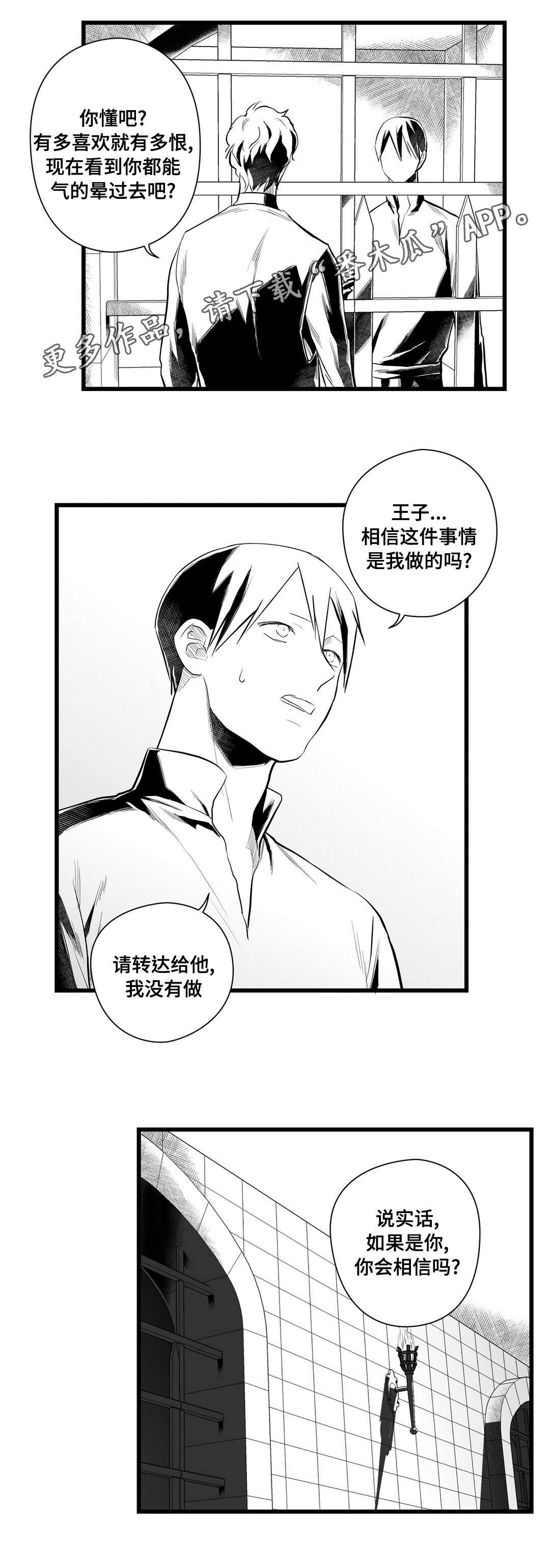 《巫师与王子》第43章醒了 第9页