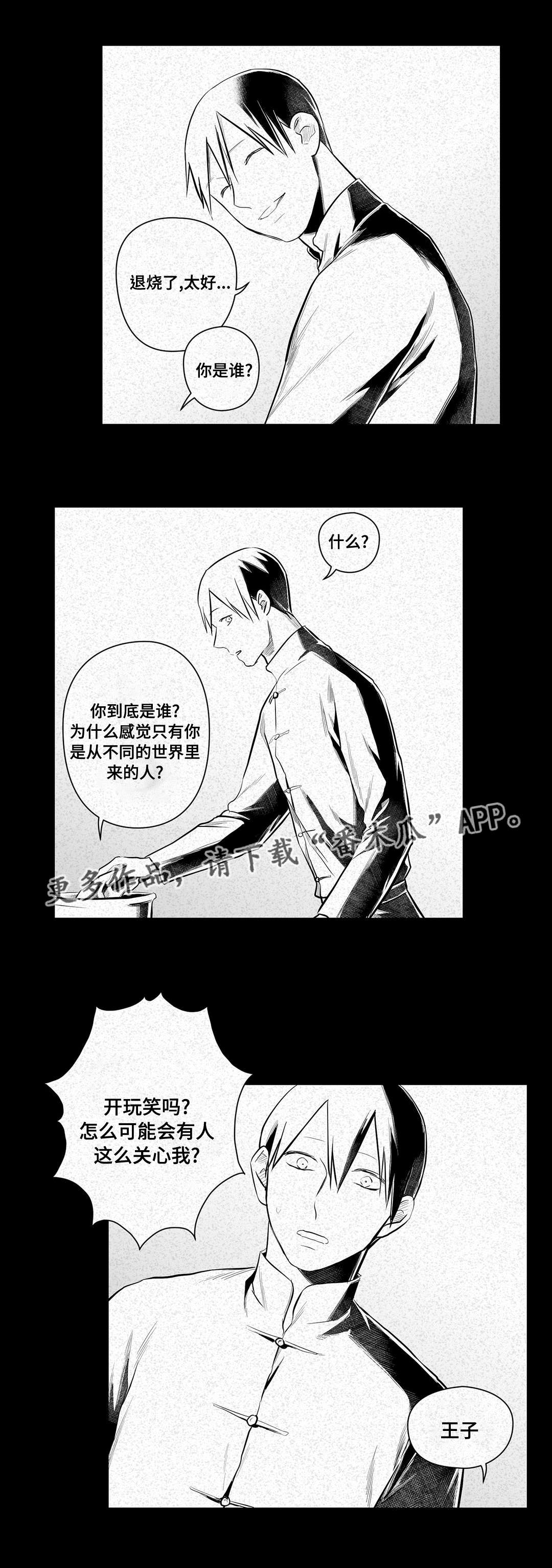 《巫师与王子》第46章证言 第11页