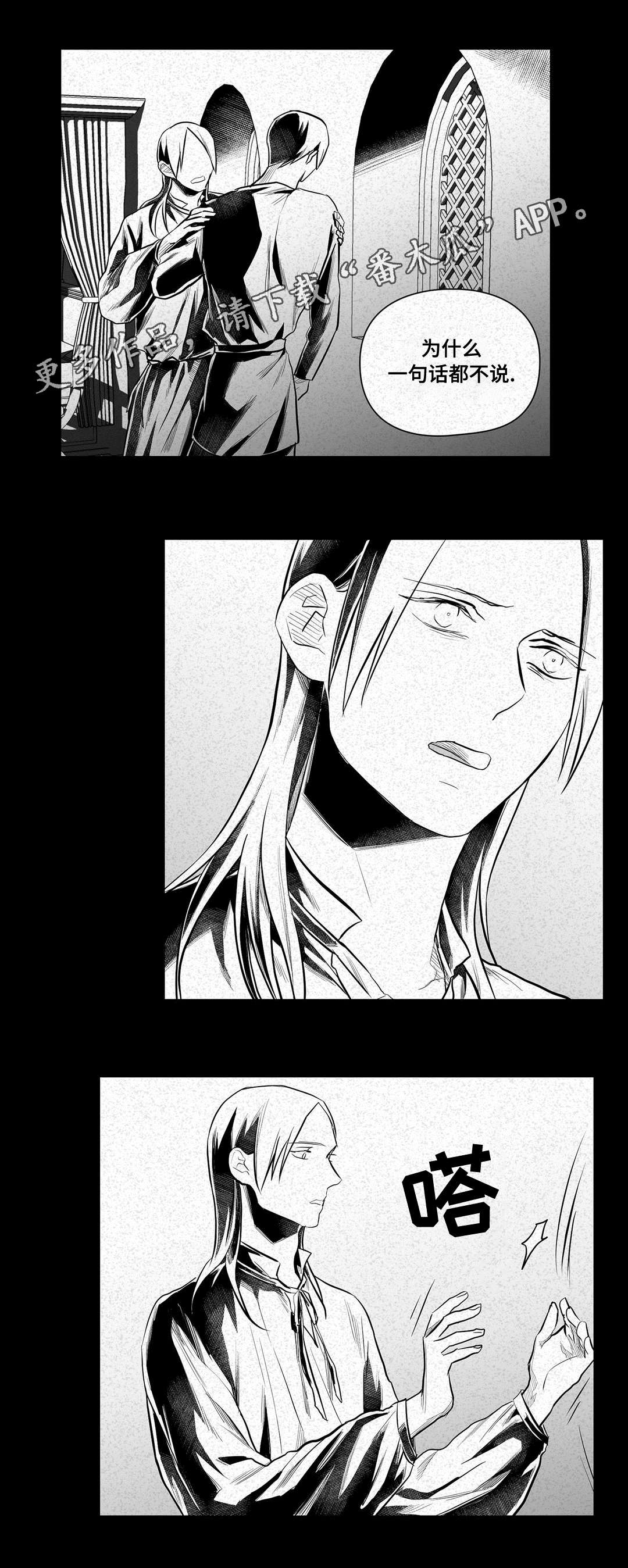 《巫师与王子》第46章证言 第13页