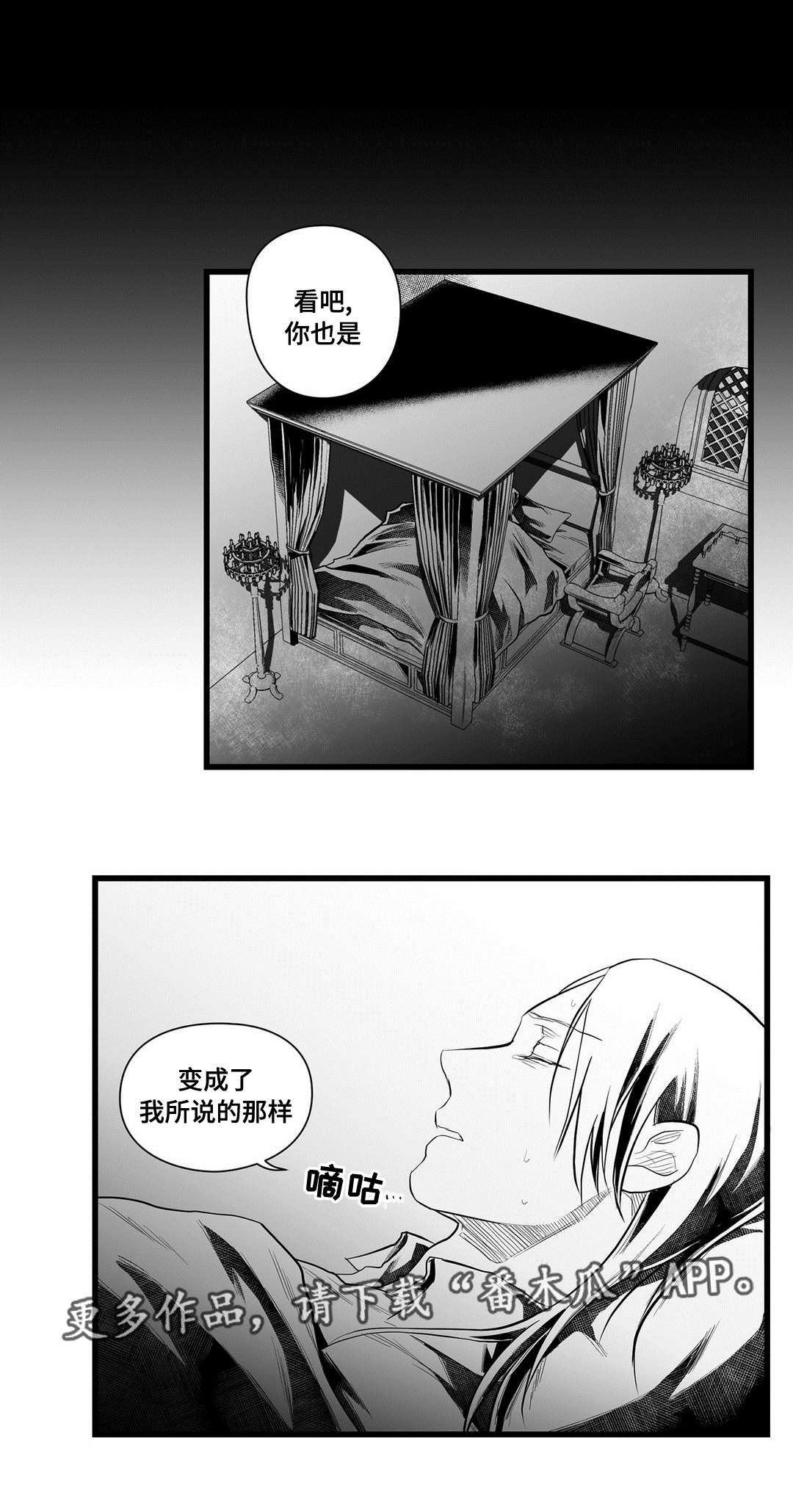 《巫师与王子》第46章证言 第15页