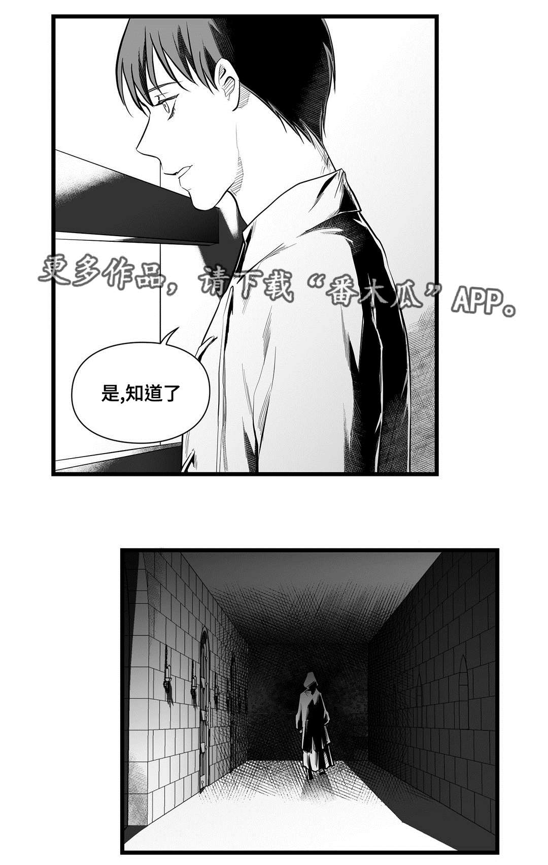 《巫师与王子》第46章证言 第3页