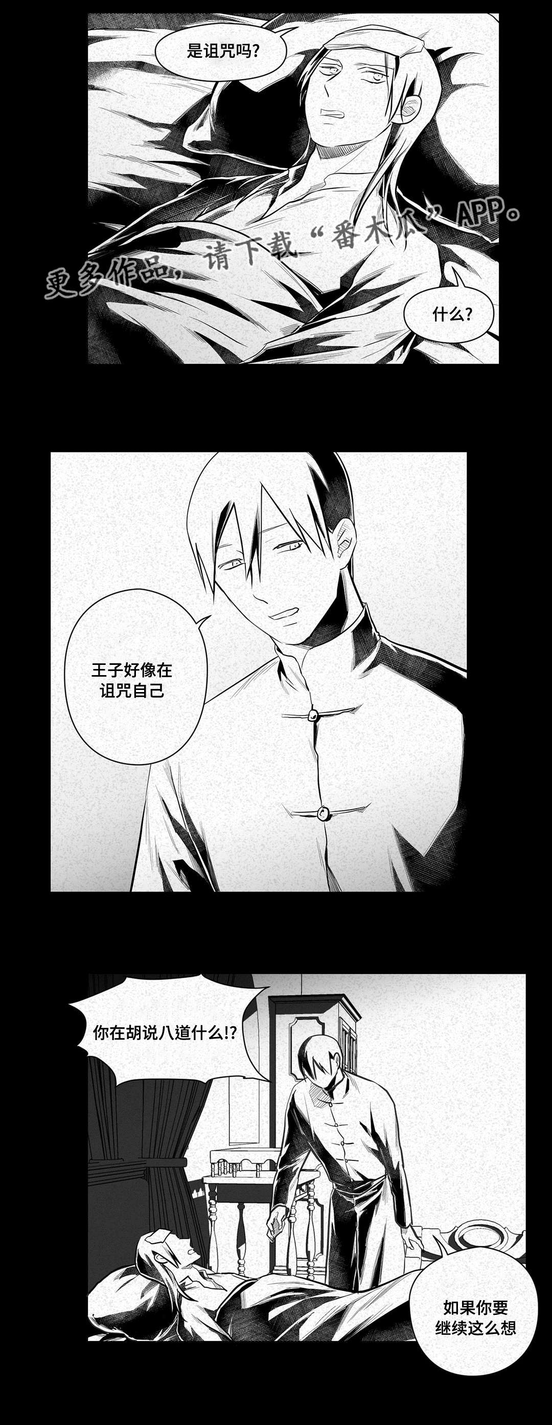 《巫师与王子》第46章证言 第9页