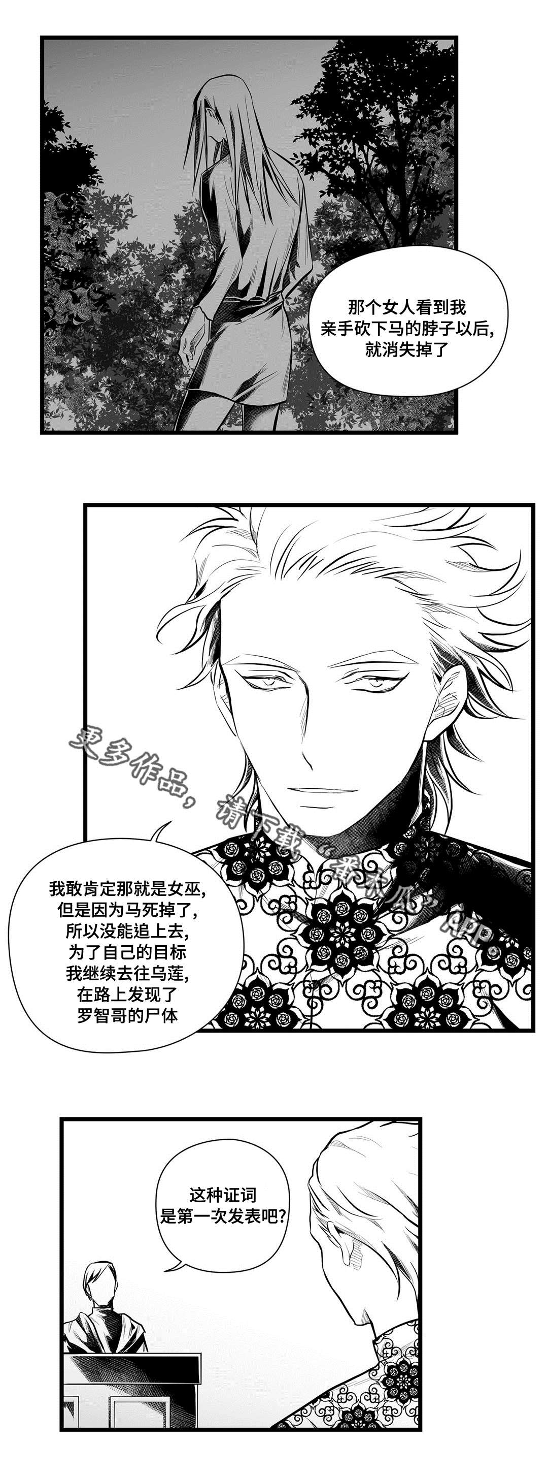 《巫师与王子》第47章审判 第11页