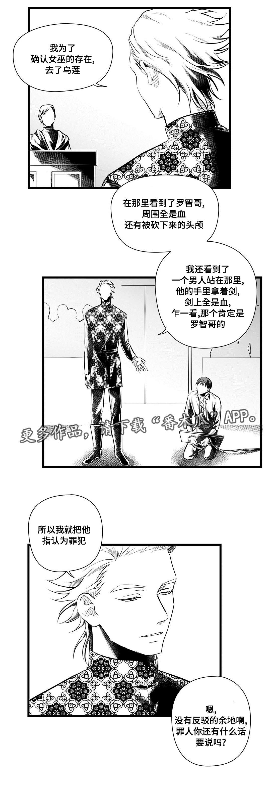 《巫师与王子》第47章审判 第6页