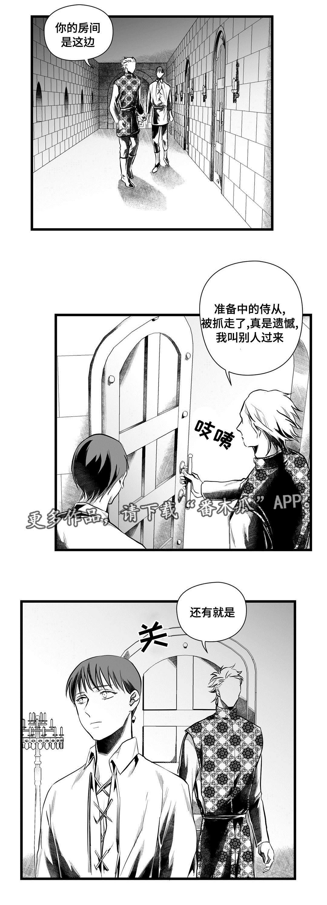 《巫师与王子》第48章麻烦 第11页
