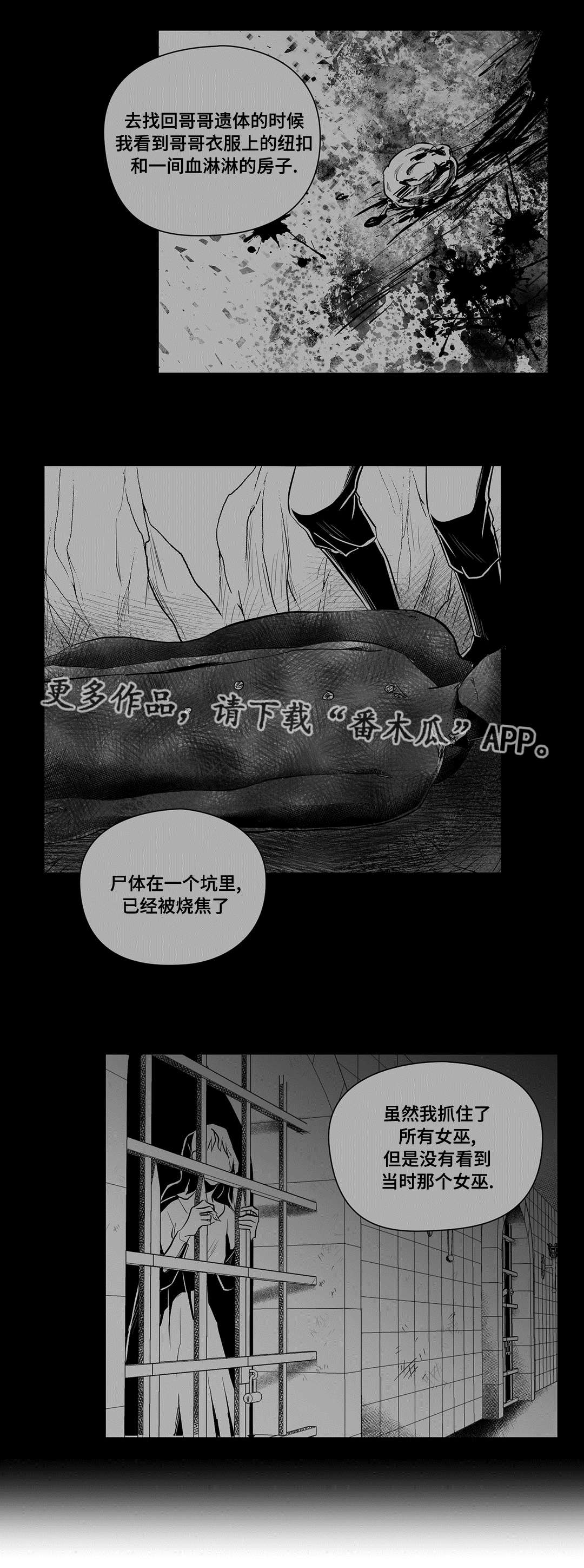 《巫师与王子》第48章麻烦 第6页