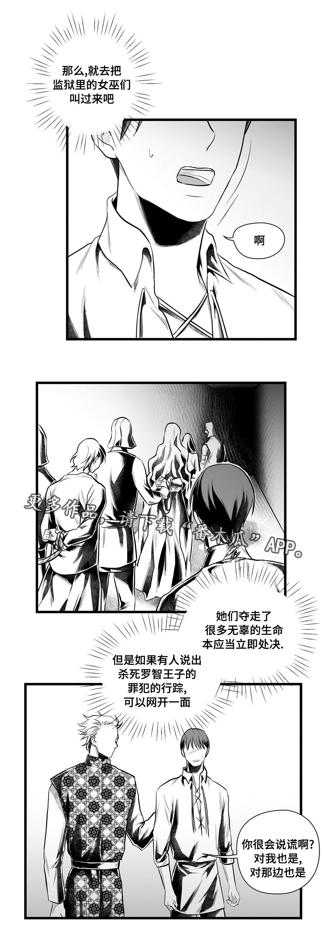 《巫师与王子》第48章麻烦 第8页