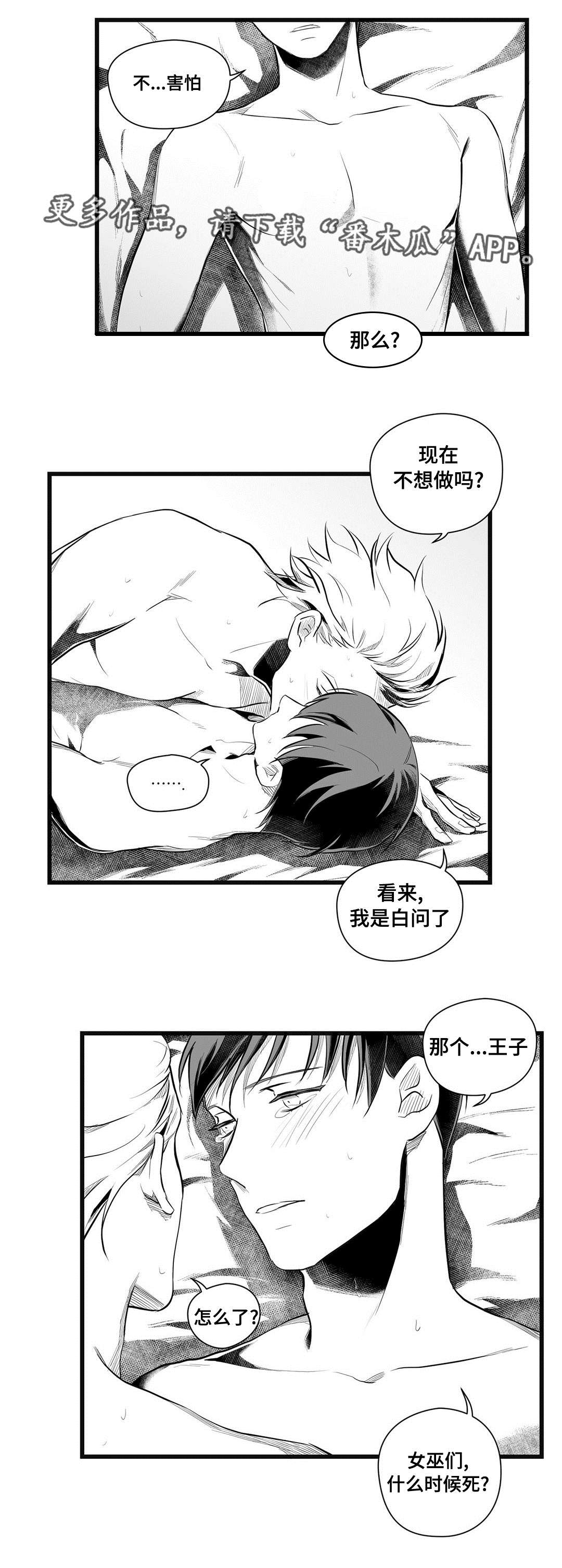 《巫师与王子》第49章守护 第10页