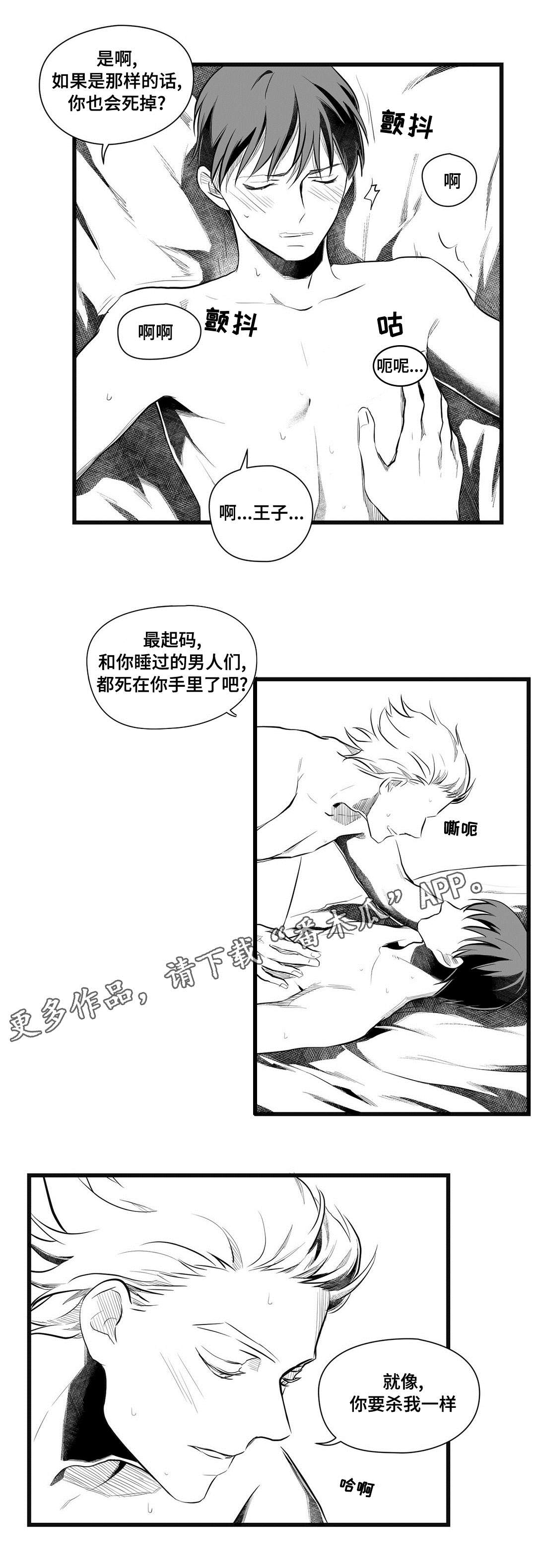 《巫师与王子》第49章守护 第12页