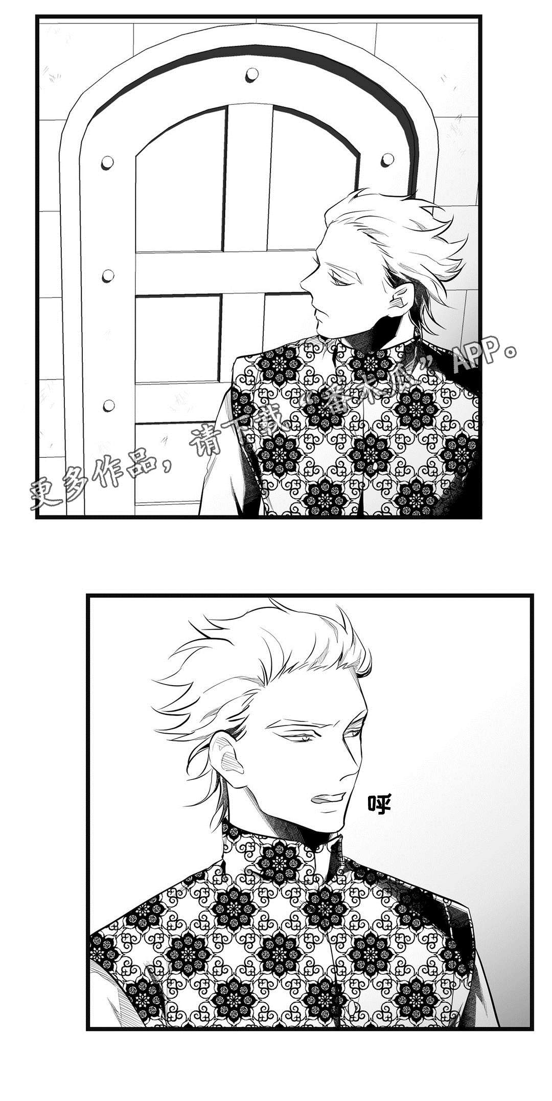 《巫师与王子》第49章守护 第20页