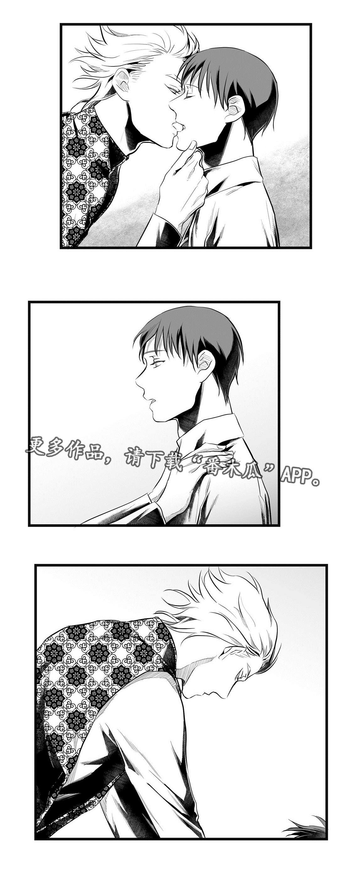 《巫师与王子》第49章守护 第2页