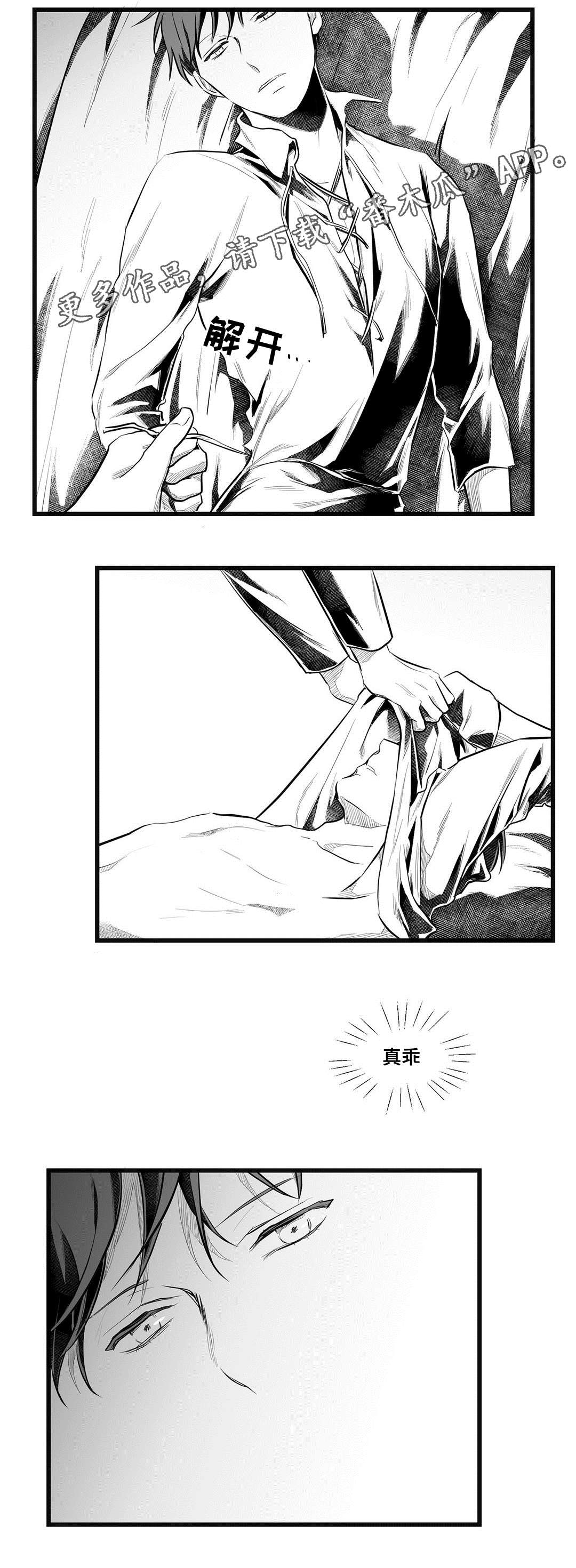 《巫师与王子》第49章守护 第3页