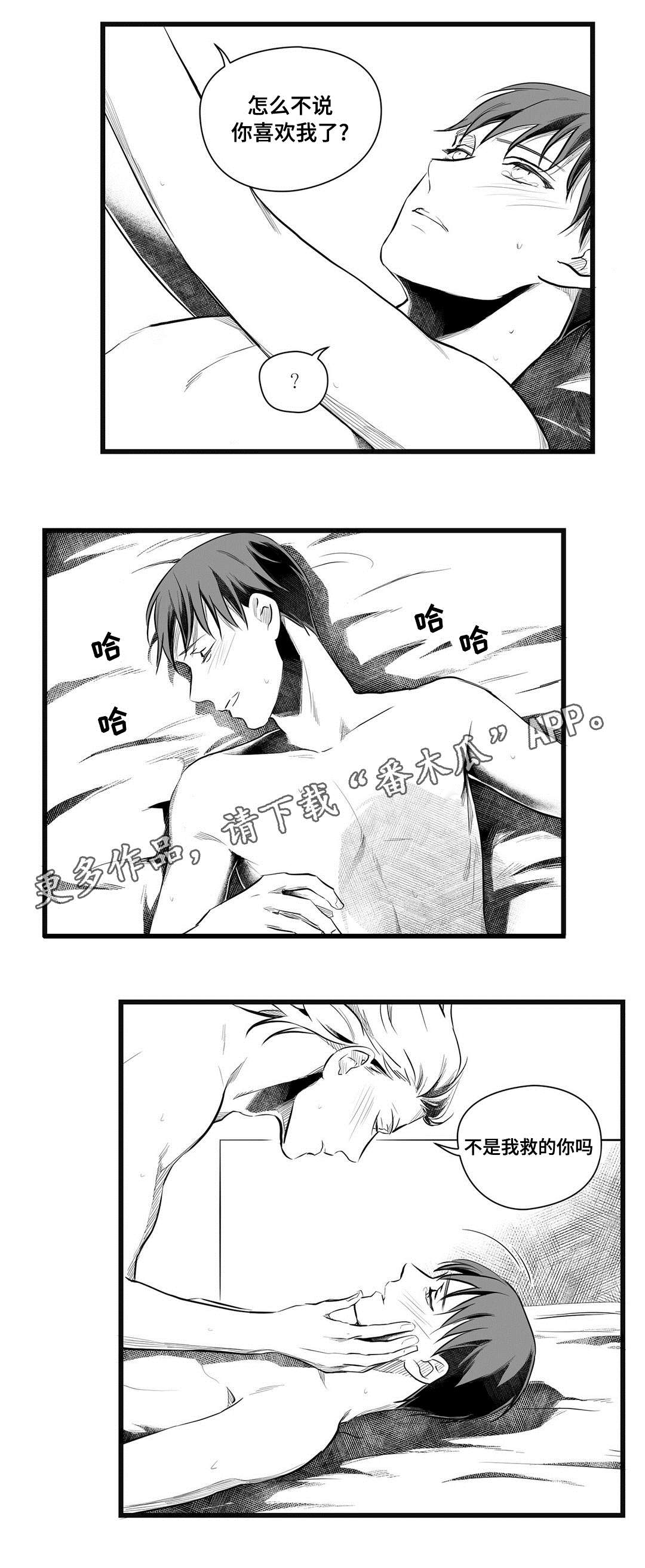 《巫师与王子》第49章守护 第8页