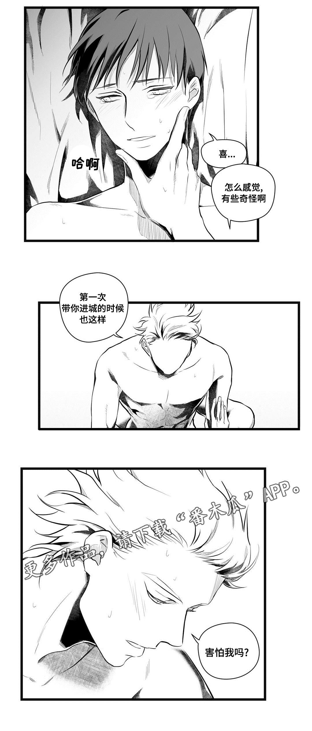 《巫师与王子》第49章守护 第9页
