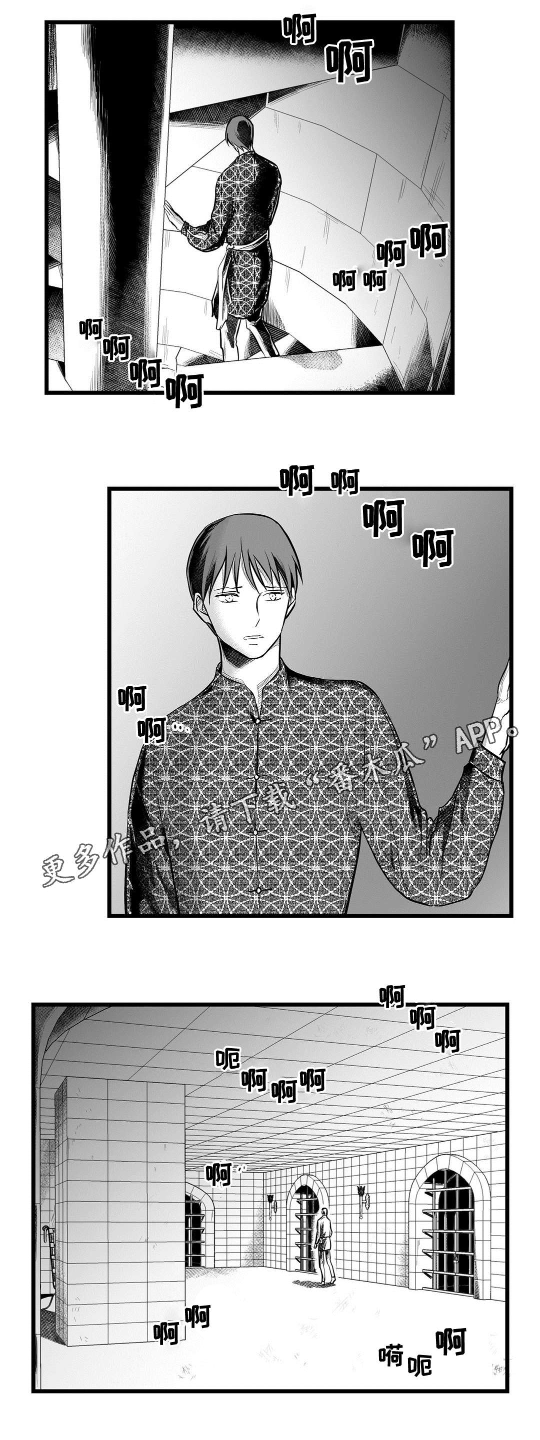《巫师与王子》第50章监狱 第11页