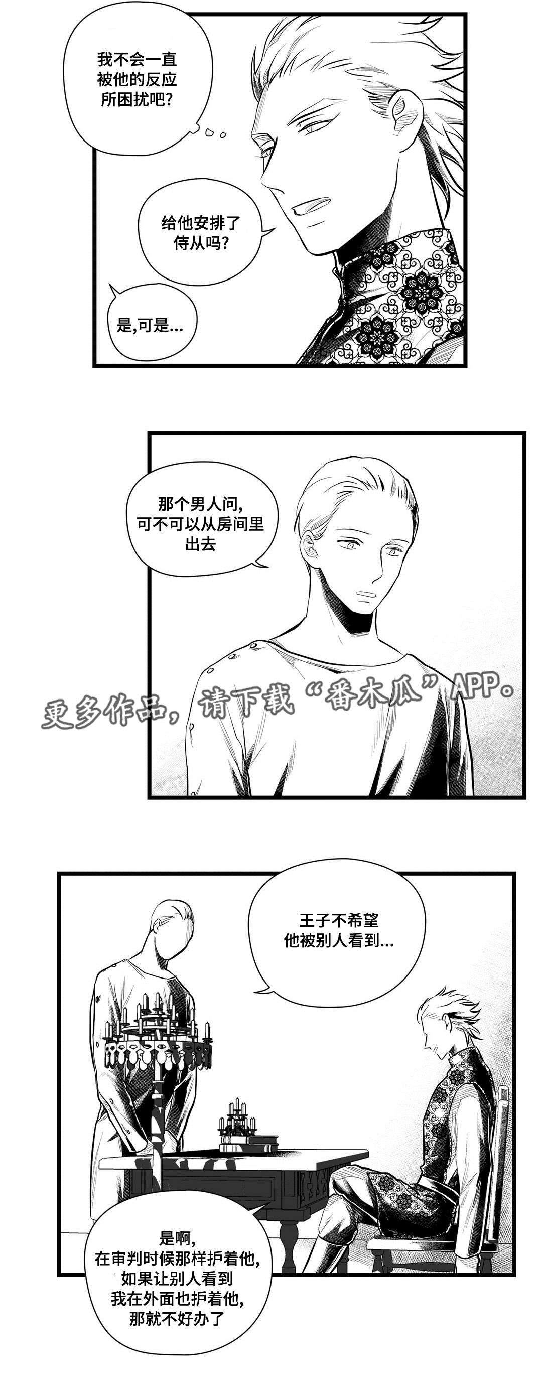 《巫师与王子》第50章监狱 第3页